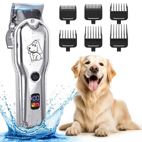 top rasoir electrique chien
